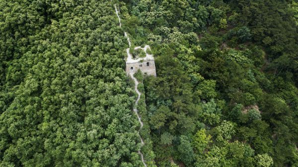 peisaj,4k,pădure,dealuri,Beijing,Marele Zid Chinezesc