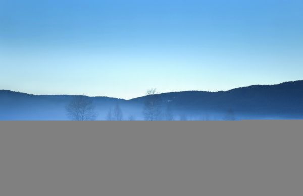 bomen, landschap, meer, hemel, sneeuw, heuvel