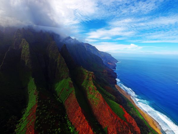 風景,木,山々,海,丘,水