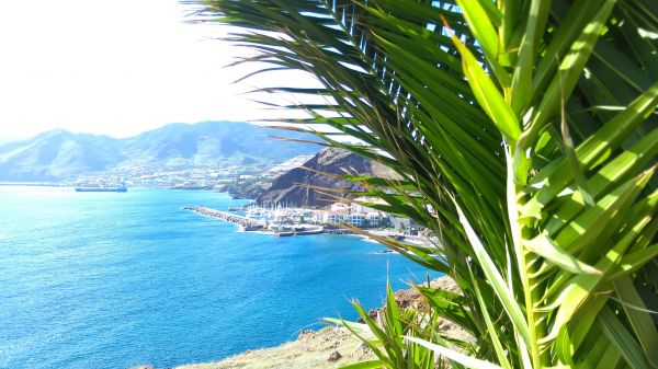 paesaggio,montagne,mare,città,baia,erba