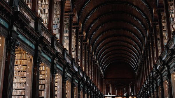 building,wood,lighting,line,beam,symmetry