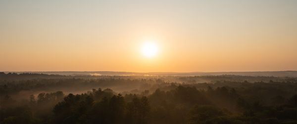 natur,Sol,solljus,landskap