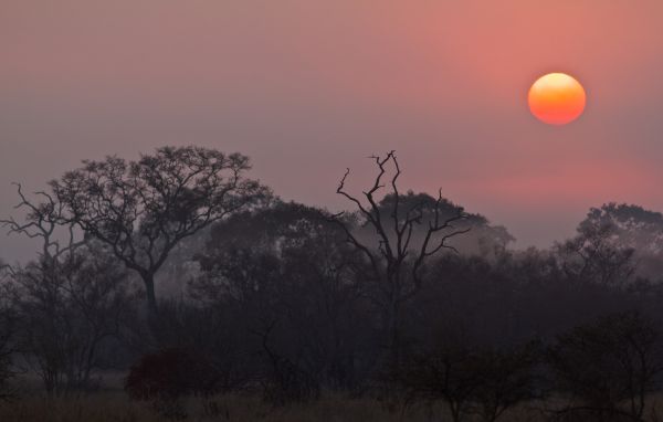 svítání,Příroda,Národní park Kruger