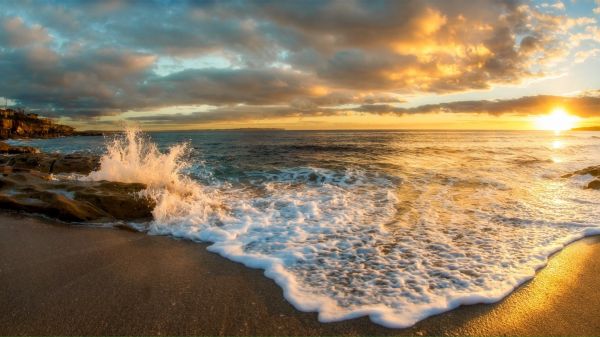 nature,landscape,water,beach,coast,sand