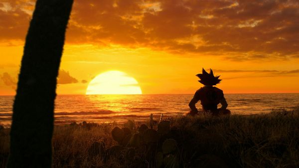 Anime,Garçons anime,Son Goku,Dragon Ball,le coucher du soleil,sunset glow