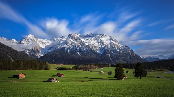 landskab, bjerge, Italien, natur, Skov, bakke