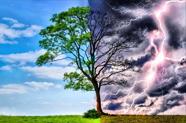 nube,cielo,planta,relámpago,atmósfera,tiempo de día