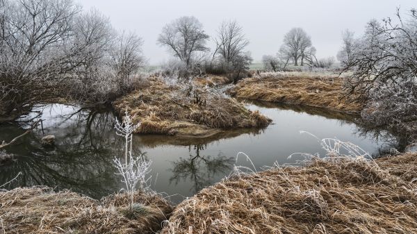 voda,nebe,vodní zdroje,rostlina,Natural landscape,fluvial landforms of streams