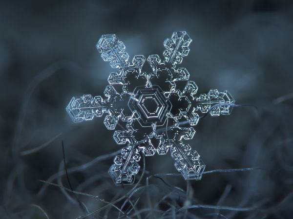 dunkel,abstrakt,Wasser,Schnee,Winter,Nahansicht