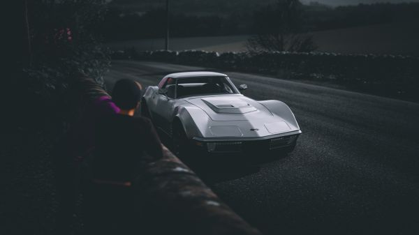 Corvette c3,Gammaldags,bil,Chevrolet Corvette Stingray,Forza Horizon 4,Videospel