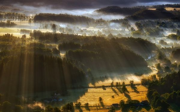 luce del sole, alberi, paesaggio, foresta, tramonto, mare