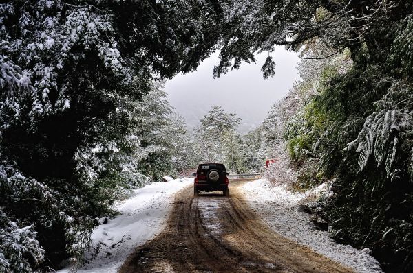 landscape,nature,trees,forest,snow,winter