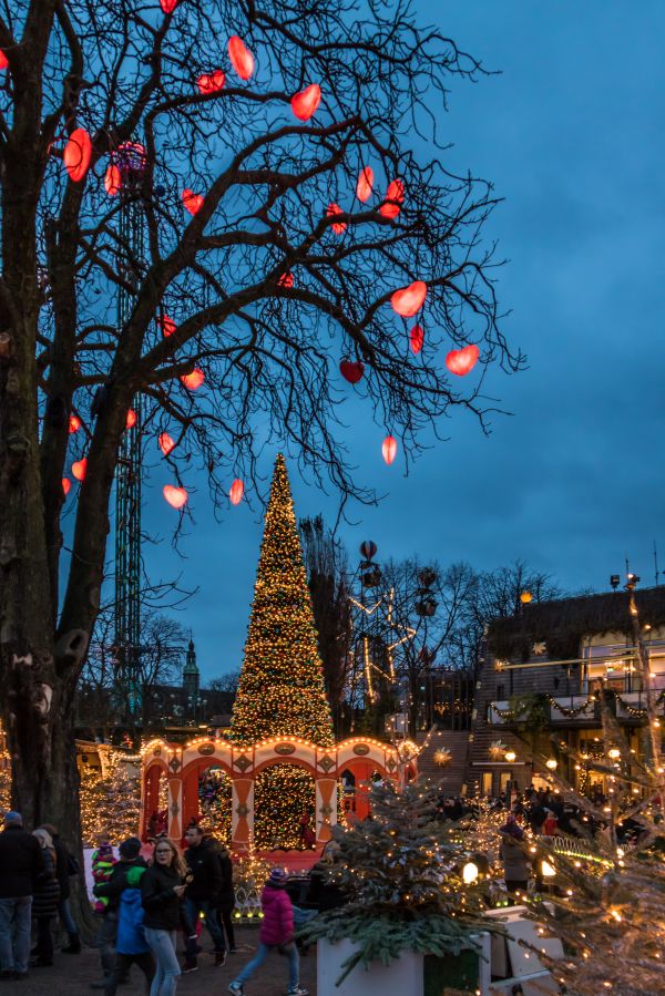 gece,kış,Noel ağacı,Noel,Şehir manzarası,akşam