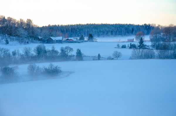 landskap, sjö, natur, reflexion, snö, vinter-