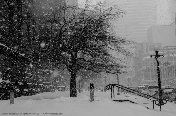 ville,rue,la nature,des arbres,blanc,Monochrome