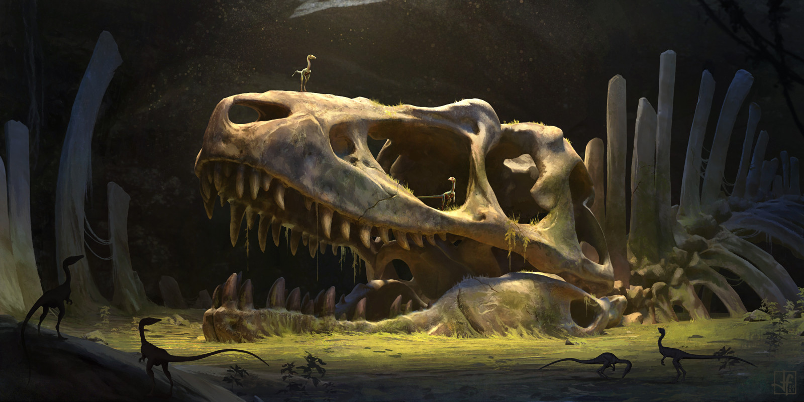 extinction, jaw, organism, bone, skull, dinosaur, wood, fossil, ART, skeleton, tyrannosaurus, wildlife, science, visual arts, terrestrial animal, Fang, cg artwork, tourist attraction, night, velociraptor, museum, soil, sculpture, environmental art