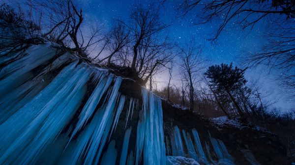 naturaleza,paisaje,Árboles,río congelado,noche,estrellas