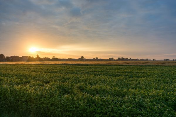 natur,landskap,soluppgång,by,polen