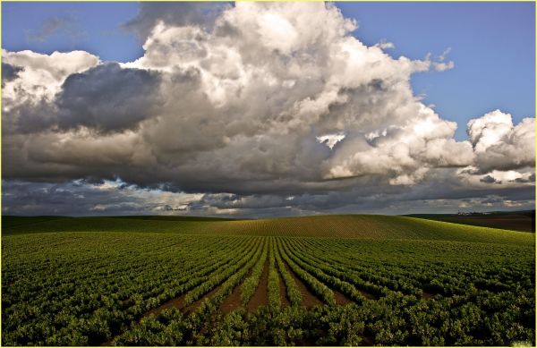 landskab,natur,himmel,Mark,skyer,vind