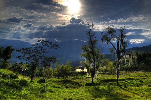 Árboles,puesta de sol,paisaje,iluminar desde el fondo,Nubes,jardín