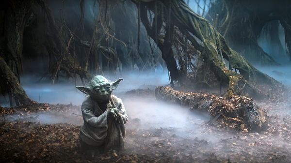 films,Images de film,Star Wars Episode V L'Empire Strikes Back,Yoda,Dagobah,jungle