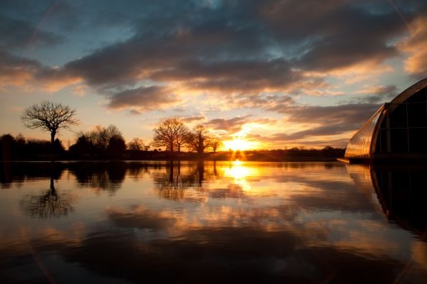 trær,vinter,solnedgang,innsjø,speilbilde,vann