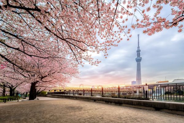 Japán,Tokyo