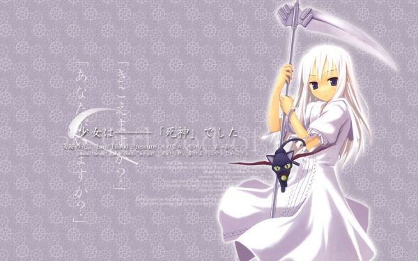 flicka,blond,ritning,illustration,katt,anime