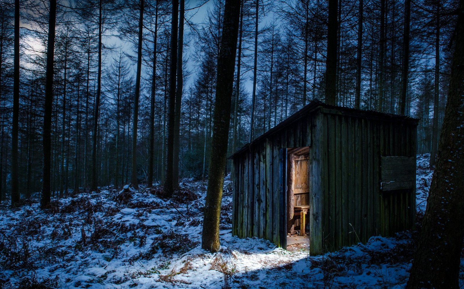 lumière du soleil, des arbres, paysage, forêt, la nature, neige, hiver, Lune, du froid, clair de lune, cabane, région sauvage, arbre, l'automne, Météo, saison, obscurité, des bois, habitat, environnement naturel, Plante boisée