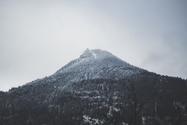 阿尔卑斯山,山,雪,薄雾,森林,云彩