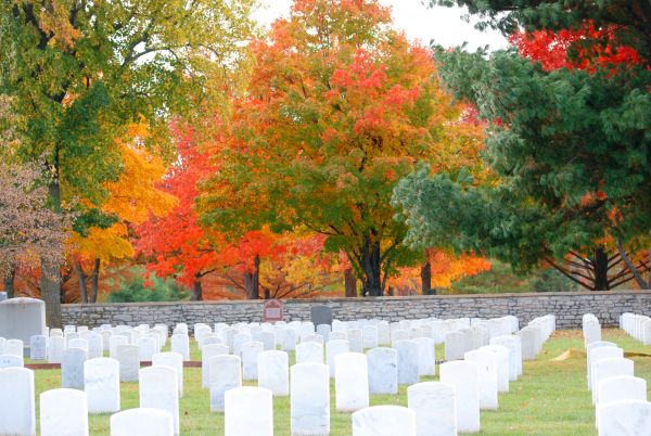 viajar,otoño,Árboles,dormido,rojo,Estados Unidos