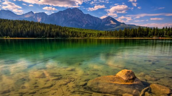 des arbres,paysage,Montagnes,Lac,Roche,eau