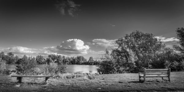 bianco e nero,bw,legna,Inghilterra,bianca,lago