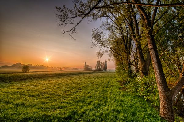 światło słoneczne,krajobraz,niebo,trawa,pole,gałąź