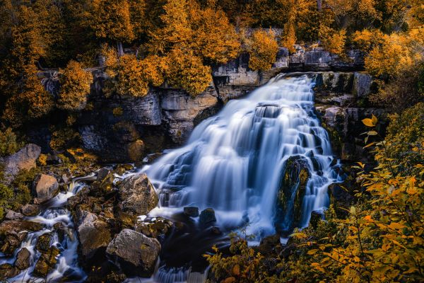 Canada,nature,fall,trees,waterfall,stones