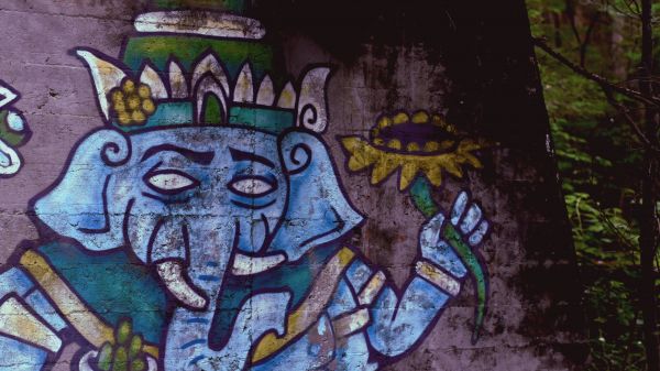 Graffiti,Elefant,Beton,Pflanzen,Sonnenblumen,Tiere