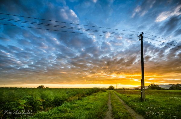 paysage, lumière du soleil, le coucher du soleil, colline, la nature, herbe