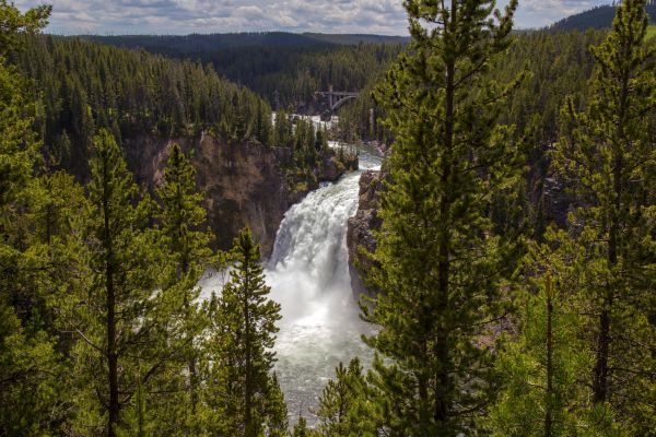 Landschaft, Wald, Wasserfall, See, Natur, Bäume