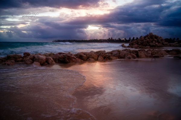 lumière du soleil, des arbres, paysage, le coucher du soleil, mer, baie