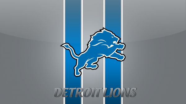 illustration, texte, logo, NFL, Football américain, Detroit Lions