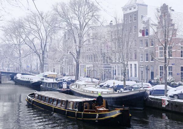 Ámsterdam,Holanda,Países Bajos,Jordano,Gezellig,ciervo