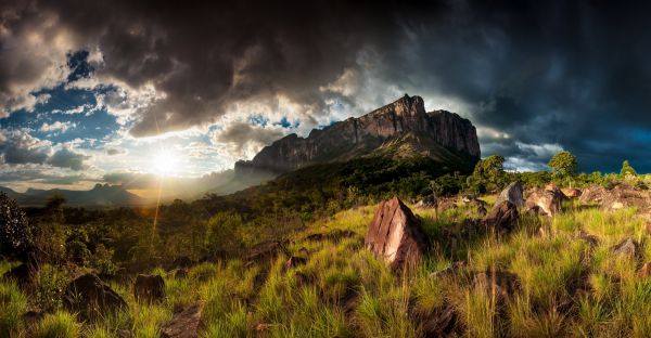 lumière du soleil,des arbres,paysage,forêt,Montagnes,le coucher du soleil