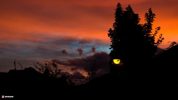 tramonto,contrasto,silhouette,paesaggio