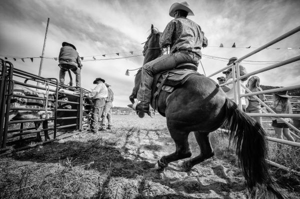 monocrom, cal, pălărie, ultrawide, cizme, fotografie