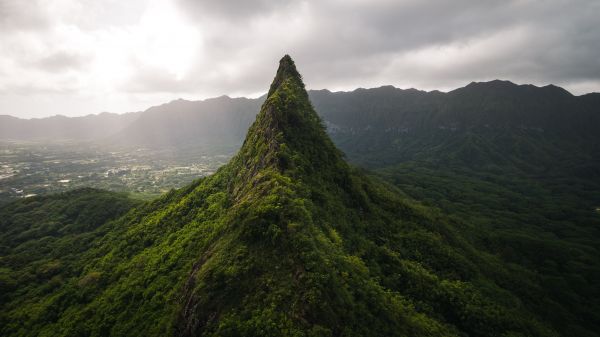 自然,風景,木,山々,森林,雲