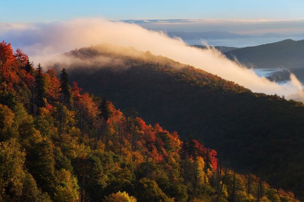 landscape,mountains,trees,forest,fall,sunset