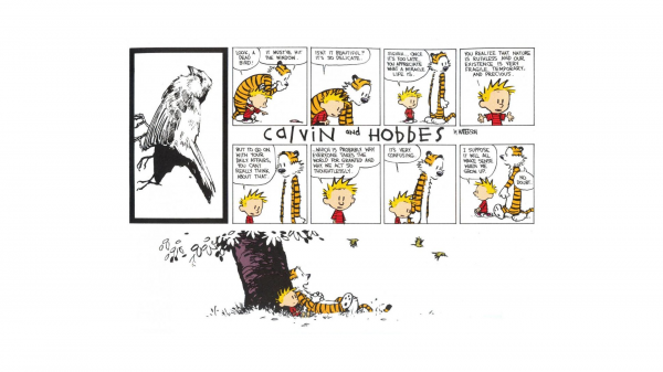 tegneserie, Calvin og Hobbes, illustration, mærke, linje, skrifttype