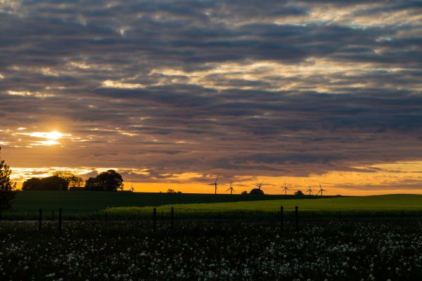 światło słoneczne,krajobraz,zachód słońca,trawa,niebo,pole