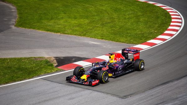 coche,vehículo,Fórmula 1,Red Bull Racing,autos de carreras,césped