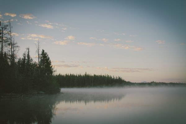 natur,landskap,träd,sjö,moln,himmel